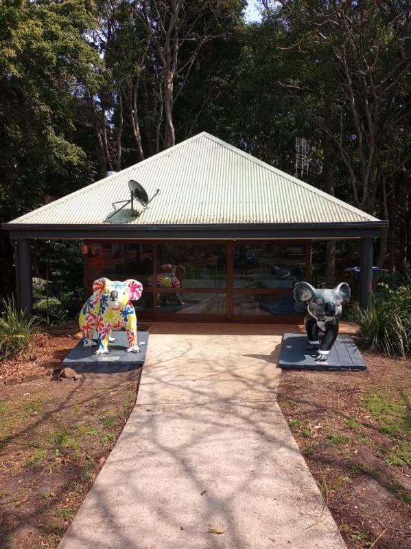 Koala Cabins Sunshine Coast Mapleton Bagian luar foto