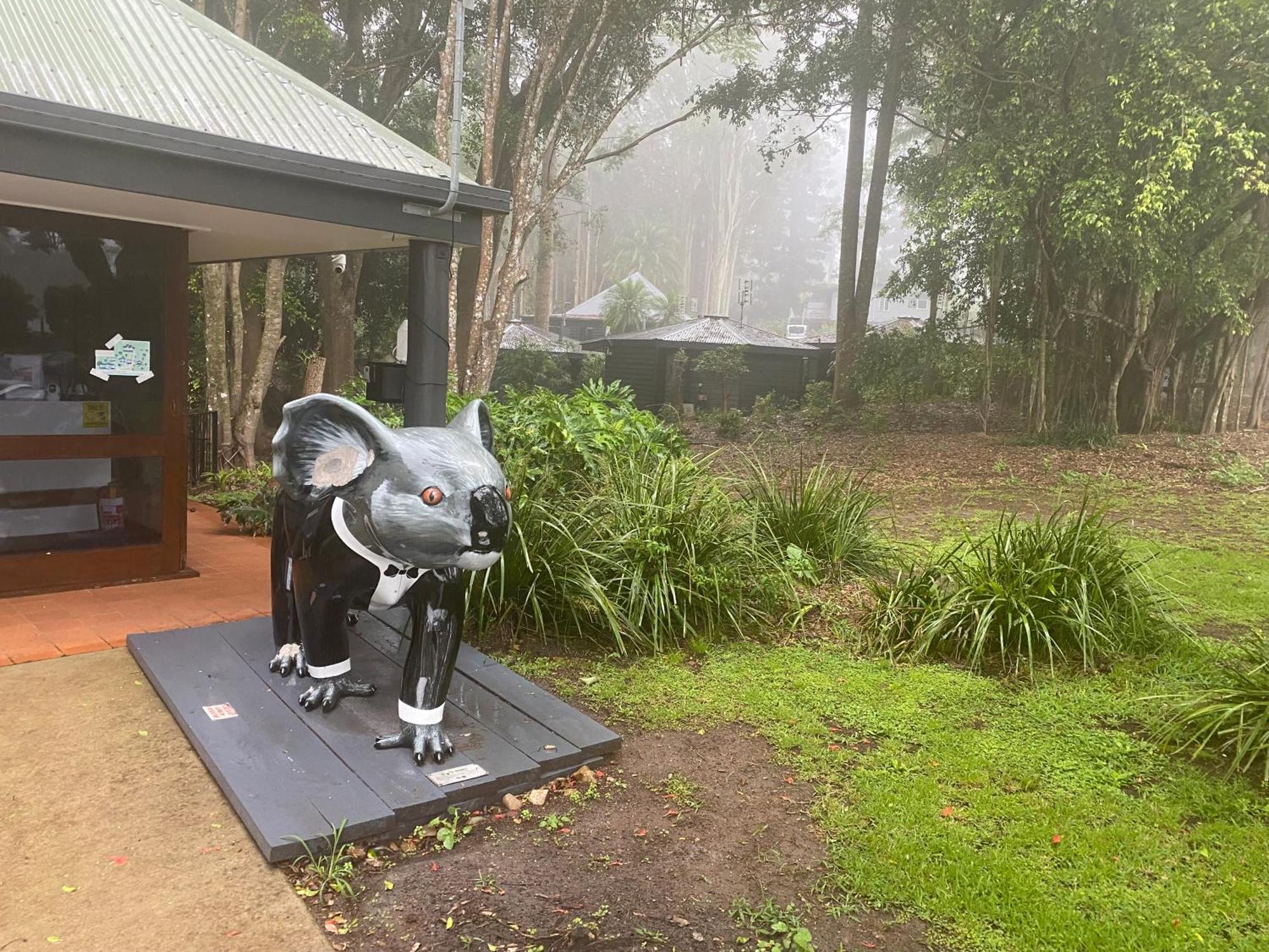 Koala Cabins Sunshine Coast Mapleton Bagian luar foto